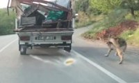 Köpeği kamyonetin arkasına bağlayıp sürükledi