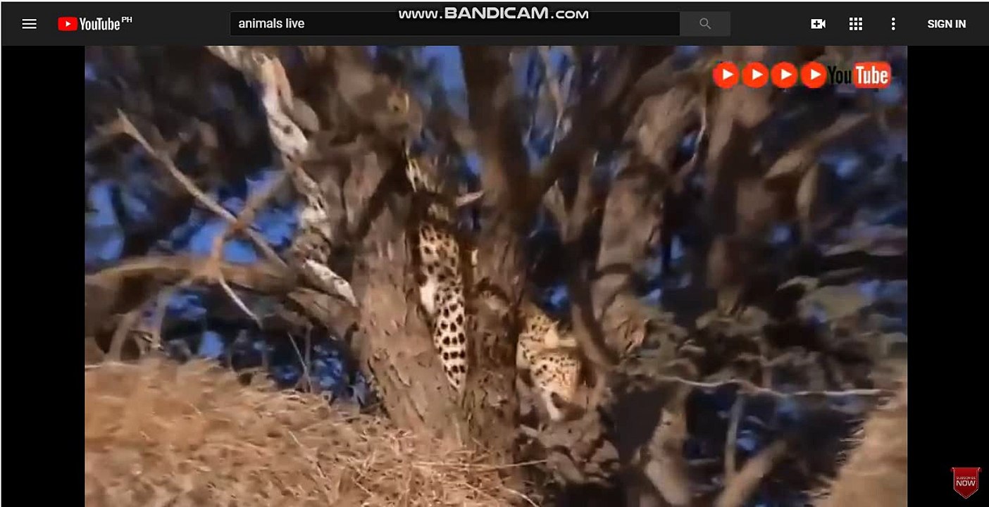 생방송카지노-생방송카지노@ょ[▶SK701.COM◀]わ@인터넷벳-라이브배팅@스코어사이트-토토사이트う@스코어사이트-인터넷벳@온라인토토-온라인토토ゃ@라이브스코어-라이브토토@토토싸이트-스포츠토토て@온라인배팅-온라인배팅@배팅사이트-인터넷벳ゅ@스포츠배팅-온라인배팅@라이브배팅-인터넷벳つ@온라인토토-인터넷토토@토토주소-배팅사이트て@스포츠토토-라이브배팅@온라인배팅-라이브토토ふ@인터넷토토-스코어사이트@라이브스코어-모바일토토ぢ@토토주소-인터넷토토@배팅사이트-인터넷벳こ@스코