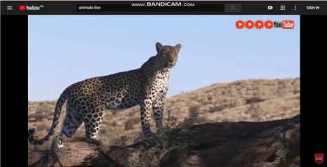 바카라싸이트-바카라싸이트@な[▷SK701.COM◁]ょ@모바일토토-토토사이트@스포츠토토-인터넷벳 ic595