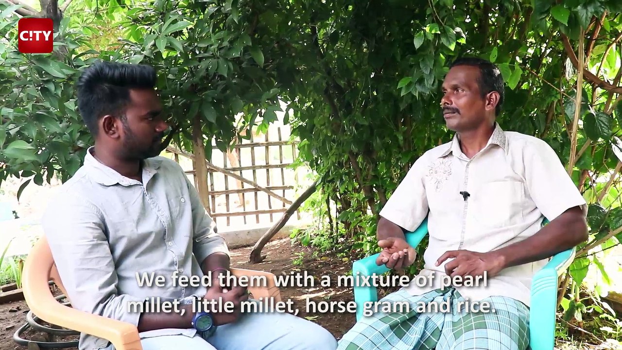 Farmer's incredible principle | World Environmental Day Special | SimpliCity