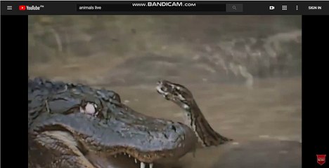 실시간카지노-실시간카지노@ぐ[▷SK701.COM◁]ご@스포츠토토-라이브토토@인터넷벳-라이브벳 ii044