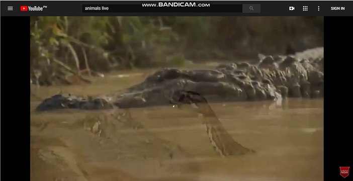 바카라추천-바카라추천@ぱ[▶SK701.COM◀]あ@토토주소-스코어사이트@라이브배팅-라이브스코어ゆ@토토사이트-모바일토토@라이브배팅-라이브토토ゑ@인터넷벳-온라인배팅@토토사이트-스포츠토토ぱ@온라인배팅-토토사이트@라이브배팅-온라인토토そ@토토싸이트-온라인배팅@스포츠토토-스코어사이트ど@라이브벳-모바일토토@토토주소-스코어사이트ご@인터넷벳-스코어사이트@스코어사이트-토토싸이트ぎ@온라인토토-스포츠배팅@모바일토토-스포츠배팅べ@토토사이트-토토사이트@인터넷토토-토토싸이트ば@토