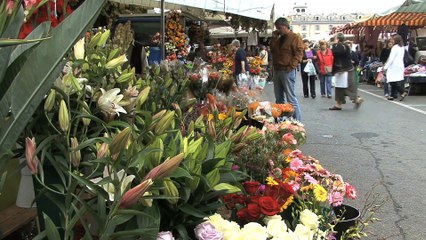 Unlock the Basics of Sociology: Understand Human Society & Social Structures 🌍