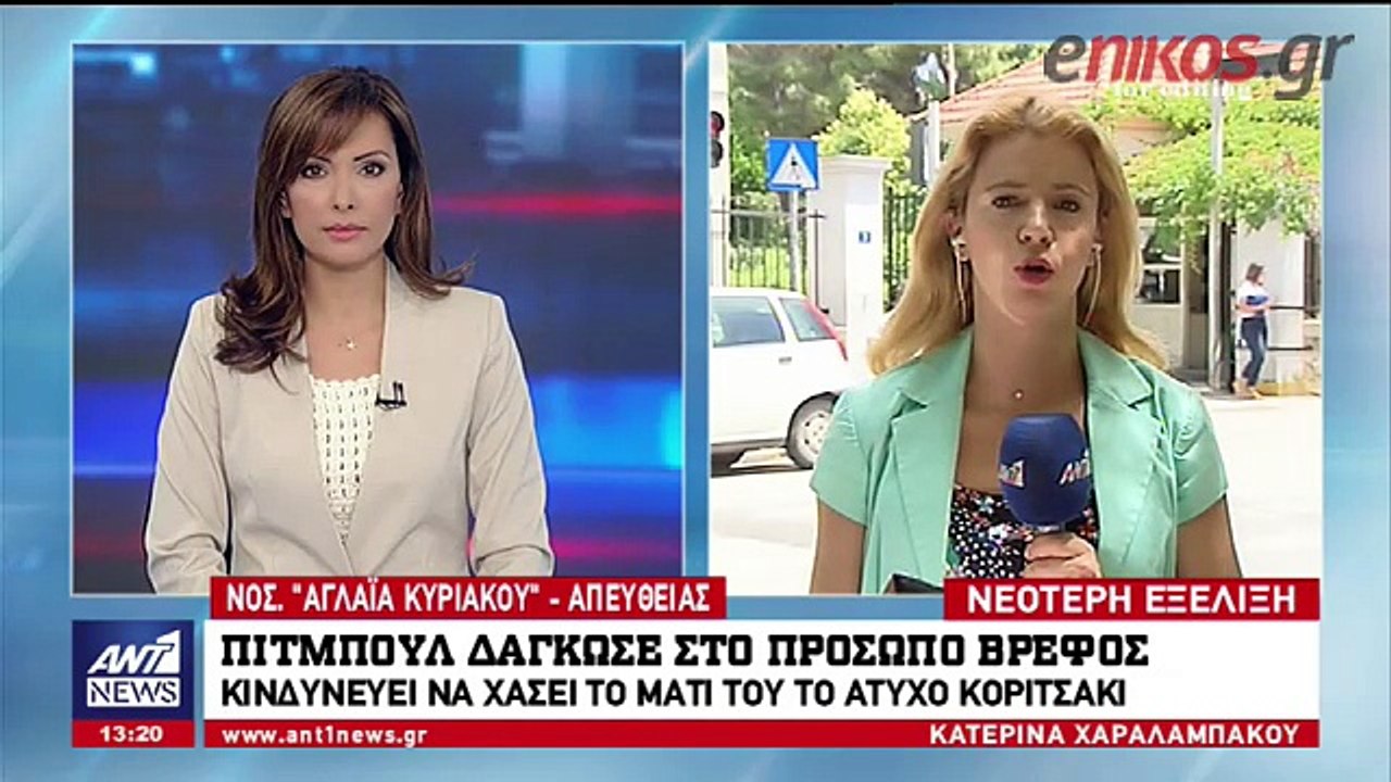 Επίθεση σκύλος