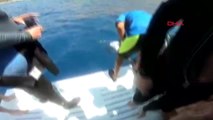 Antalya Tekne Faciasında Suya Düşen Mültecinin Kurtarılma Görüntüleri Ortaya Çıktı