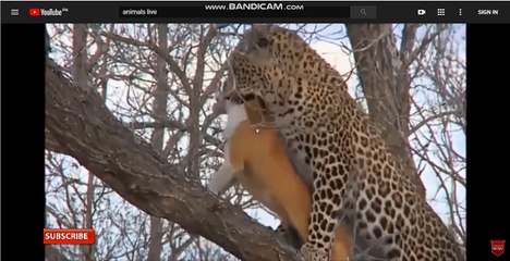 카지노싸이트-카지노싸이트@ょ[▷SK701.COM◁]ぇ@스코어사이트-라이브스코어@라이브배팅-라이브토토 bq606