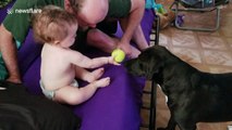 This is what friendship looks like between a dog and a baby