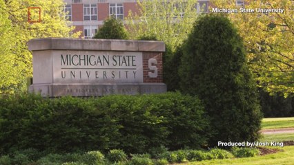 Michigan State University Physicist Charged With Bestiality