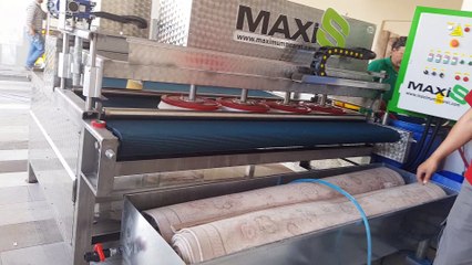 tam otomatik halı yıkama makinası,halı sıkma makinası maxis