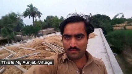 Punjab Village Visit Memories _ This Is My Peaceful Pakistan