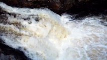 First Atlantic Salmon begin annual migration to spawning grounds in Scotland