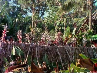 David Attenborough - Törzsi Kincsek - 06 A Hagyományok Embere