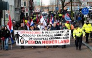 Rotterdam'da Aşırı Sağcı Pegida Örgütüne Cami Önünde Domuz Çevirme İzni