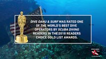 Readers Choice 2018 - Dive Oahu and Surf