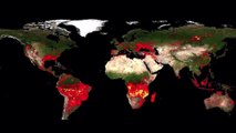 SmokeD – Detecting Smoke or Flames by Analyzing Images