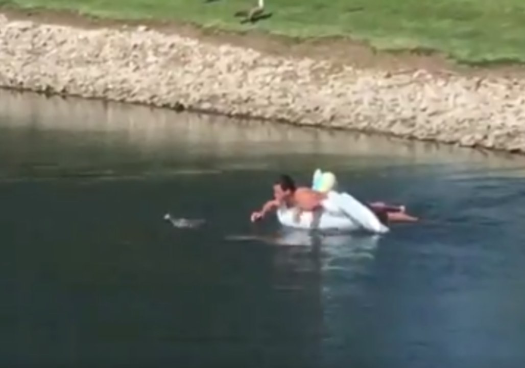 Family Rescues a Lucky Baby Goose After Attack by Snapping Turtle