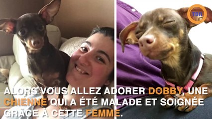 Ce petit chien a une drôle de manie avec sa peluche