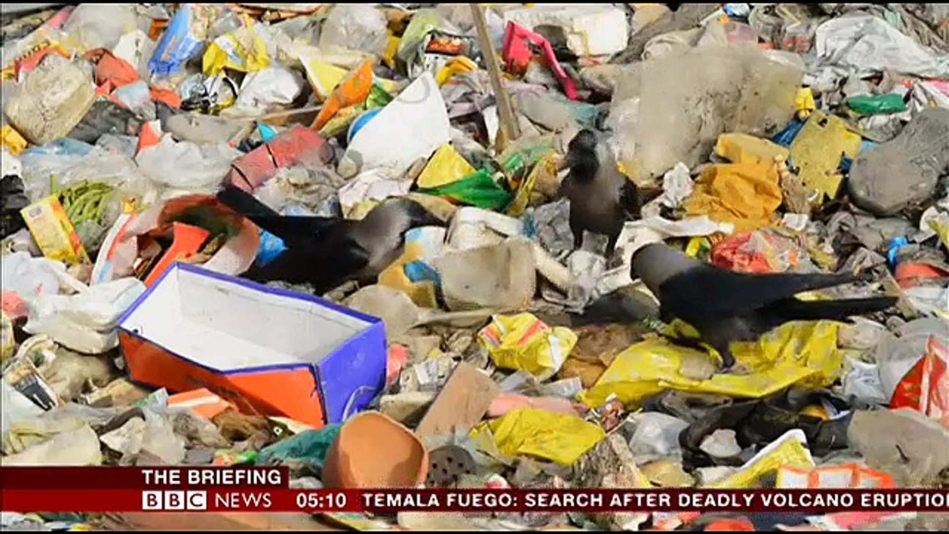 BBC News June 5, 2018