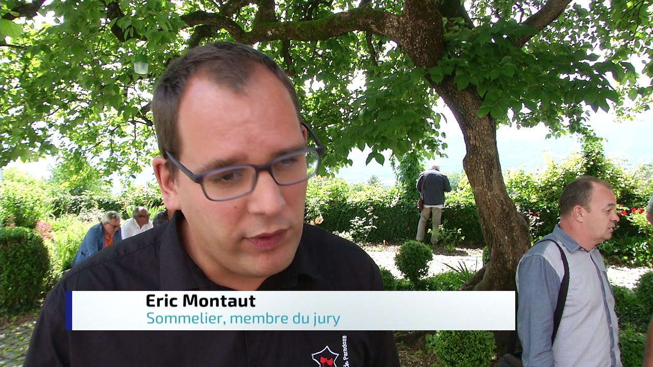 Reportage - In vino veritas