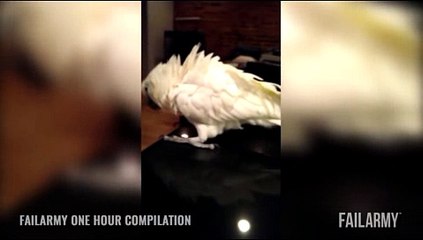 우리카지노조작우리카지노계열- (^￥^ＣARＤ328。ＣOＭ^￥^) -우리카지노계열