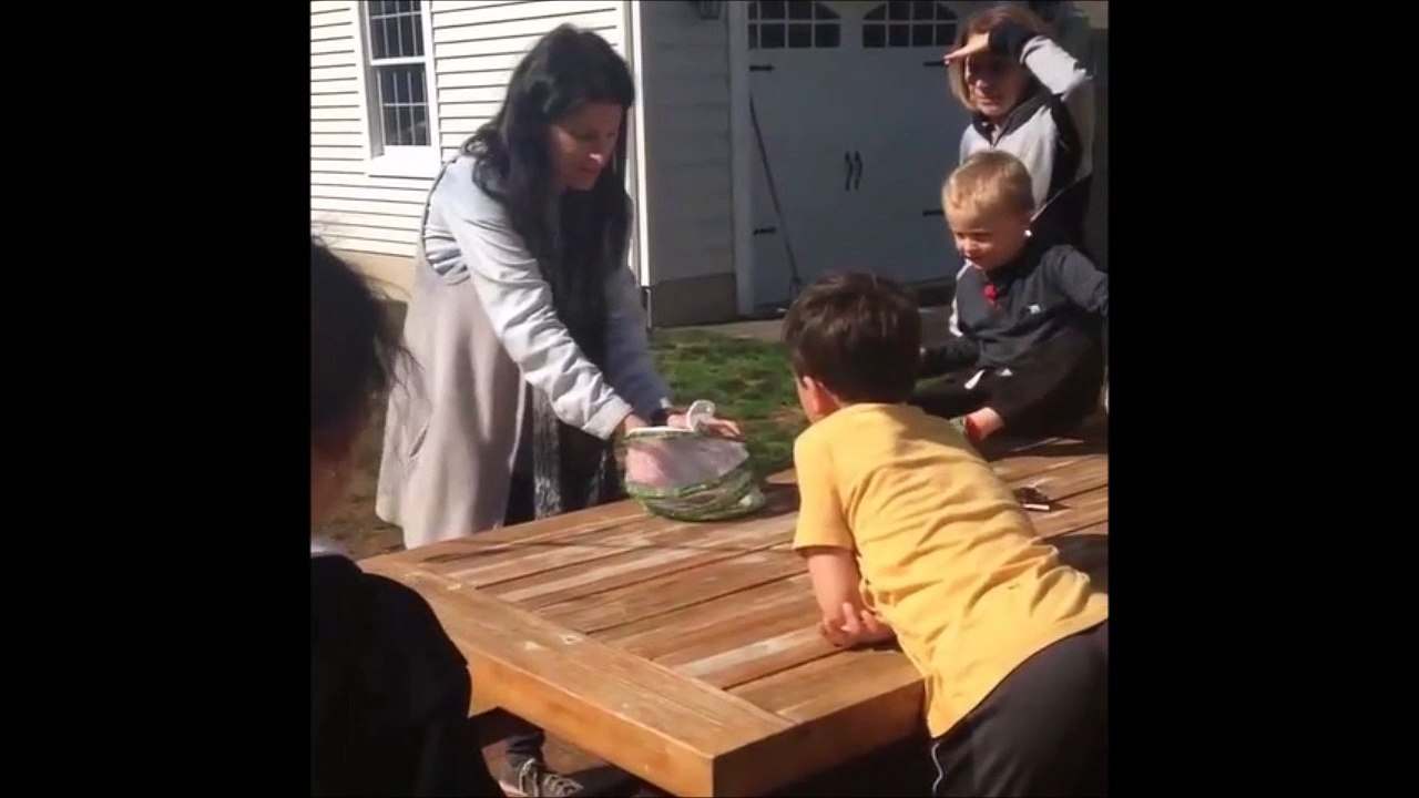 Elle remet en liberté un papillon mais ça fini mal pour l'insecte