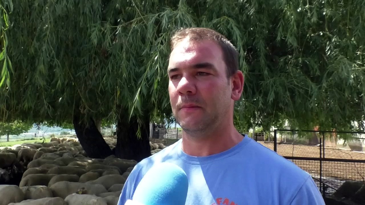 Alpes-de-Haute-Provence : découvrir la vie des éleveurs grâce à Made in Viande