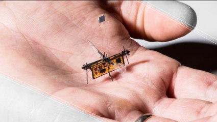 Robofly: Greenhouse Effect Fighting Microbot