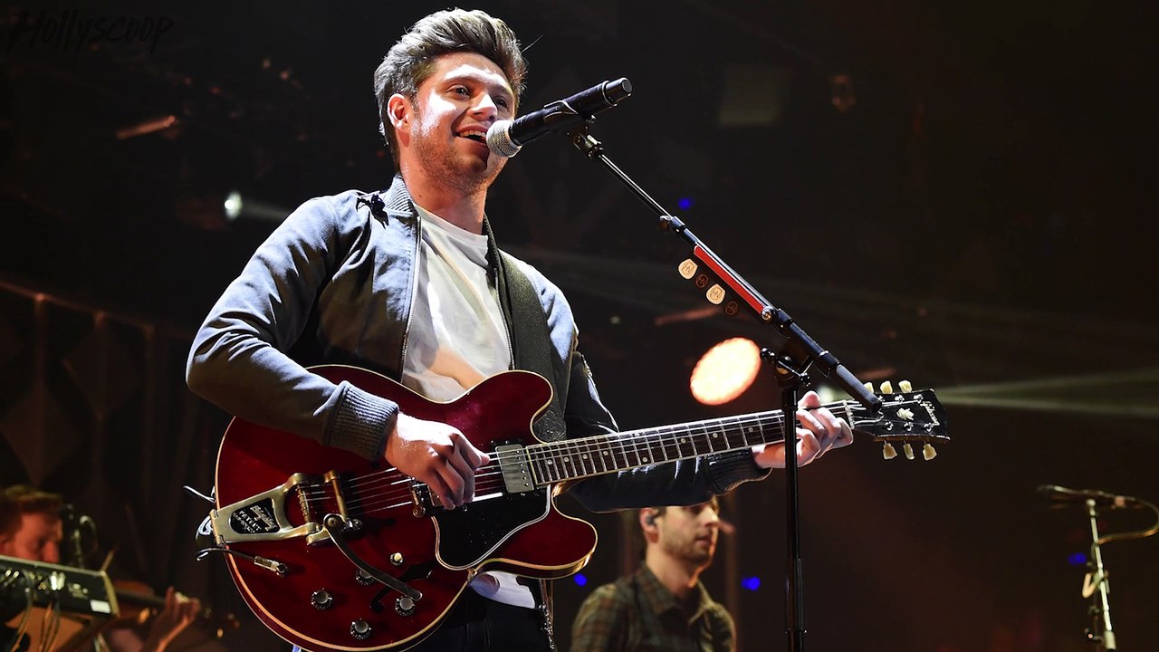 NOT Just Friends! Niall Horan & Hailee Steinfeld Get Close & Cozy on Concert Date