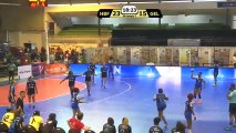 Finalités des championnats de France amateurs de handball