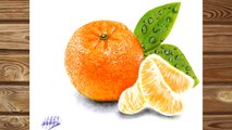 Dibujo realista de una mandarina |  Realistic drawing of mandarin