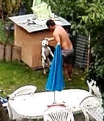 il bat son chien, je réagis. Tatyana CHURSINA est violente avec sa fille. Mais la Justice Française ne fait Rien!