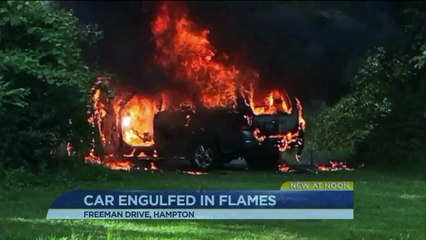 Suspect in Murder of Young Virginia Woman Ruled Incompetent to Stand Trial