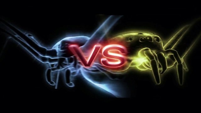 MONSTER BUG WARS | White Tail Spider Vs Cellar Spider