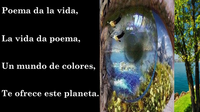 FAUNA Y FLORA