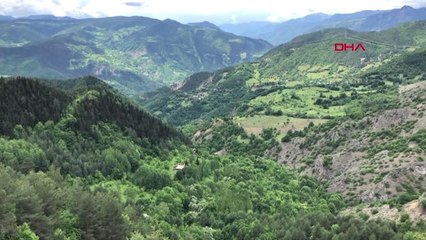 Artvin Caminin Çalınan Tarihi Halı ve Kilimlerini Bulana Para Ödülü