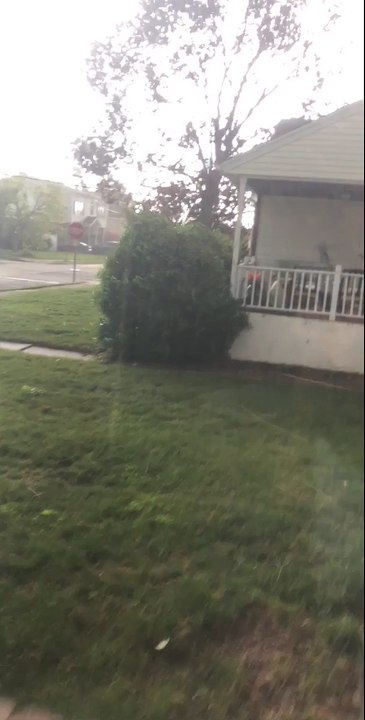 Tree Falls on a House