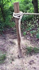 Ganshoren:  un espace "chien libre" délimité seulement par une corde