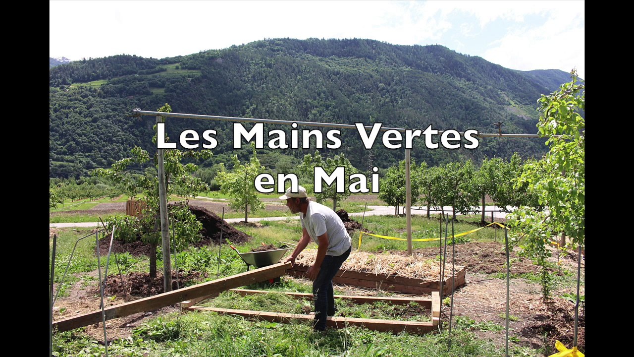 Les Mains Vertes en Mai