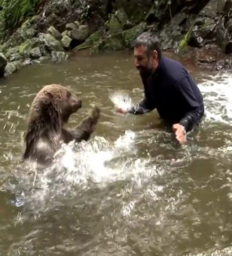 Il joue avec son meilleur ami, un gros ours