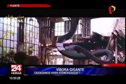 Bolivia: conozca la leyenda de la víbora gigante de tres cabezas