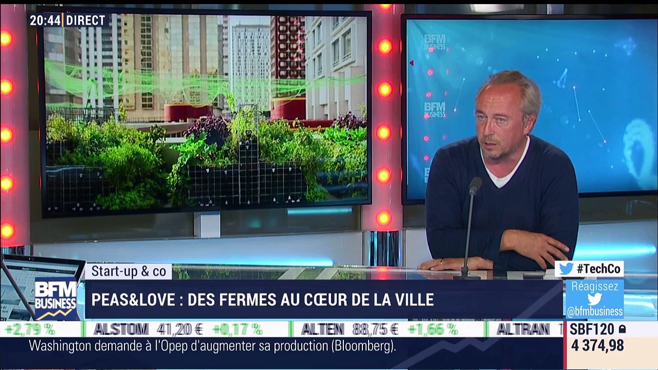 Start-up & Co: Peas & Love, des potagers au cœur de la ville - 05/06