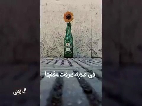 حالات واتس حمو بيكا غدر الصحاب