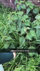 Une fillette qui n'a jamais été piquée par une ortie !