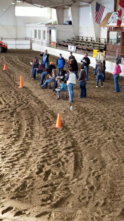 Stick Horse Reining Class