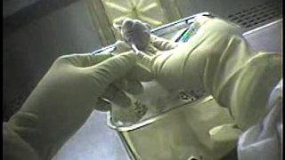 Stop vivisection