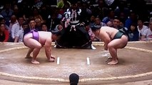 嘉風 vs 大翔丸 2018年大相撲夏場所2日目 20180514