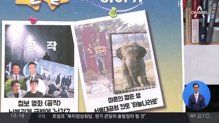 마흔의 짧은 생…서울대공원 코끼리 칸토 ‘하늘나라로’