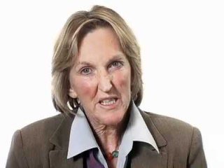 Whose responsibility are animal rights?