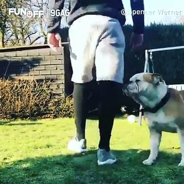 :D :D