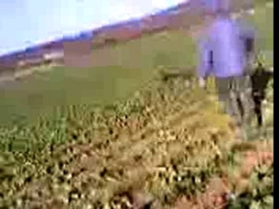 charly a la chasse